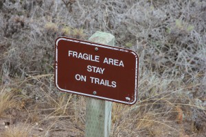 Stay on Trail